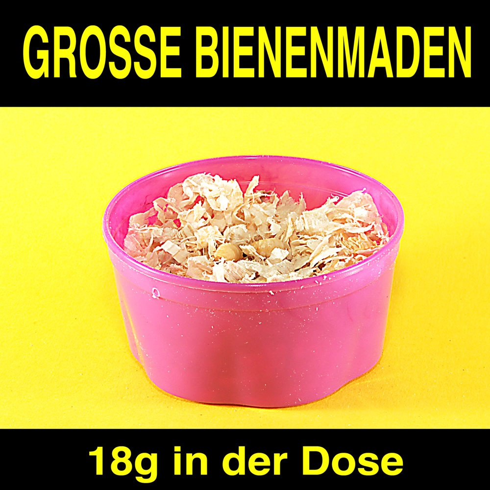 Bienenmaden