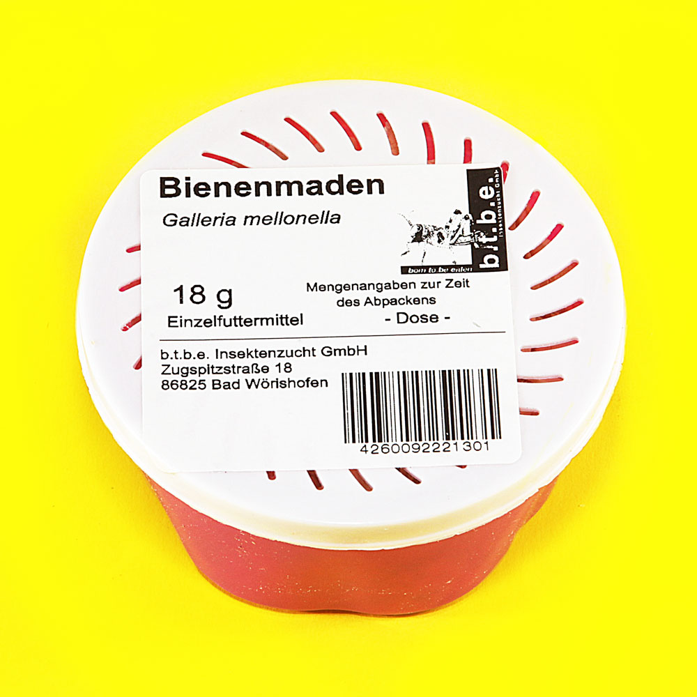 Bienenmaden