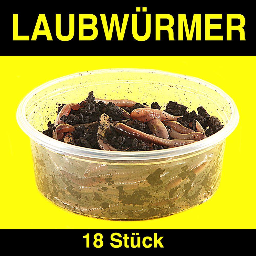 Laubwürmer