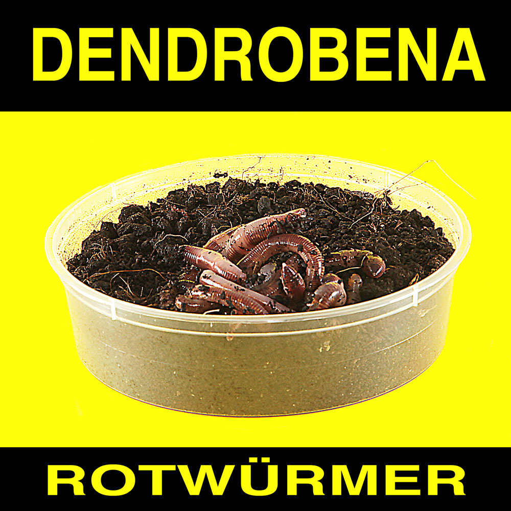 Rotwürmer