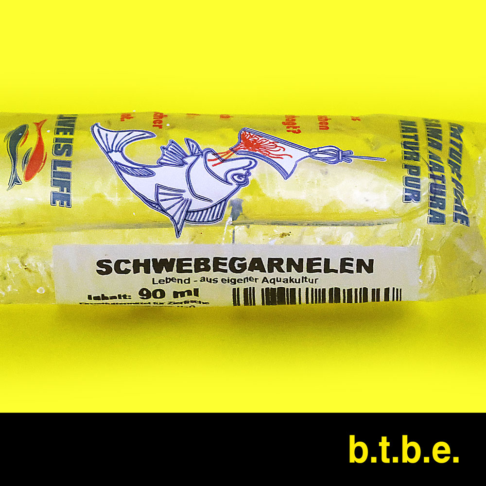 Schwebegarnelen