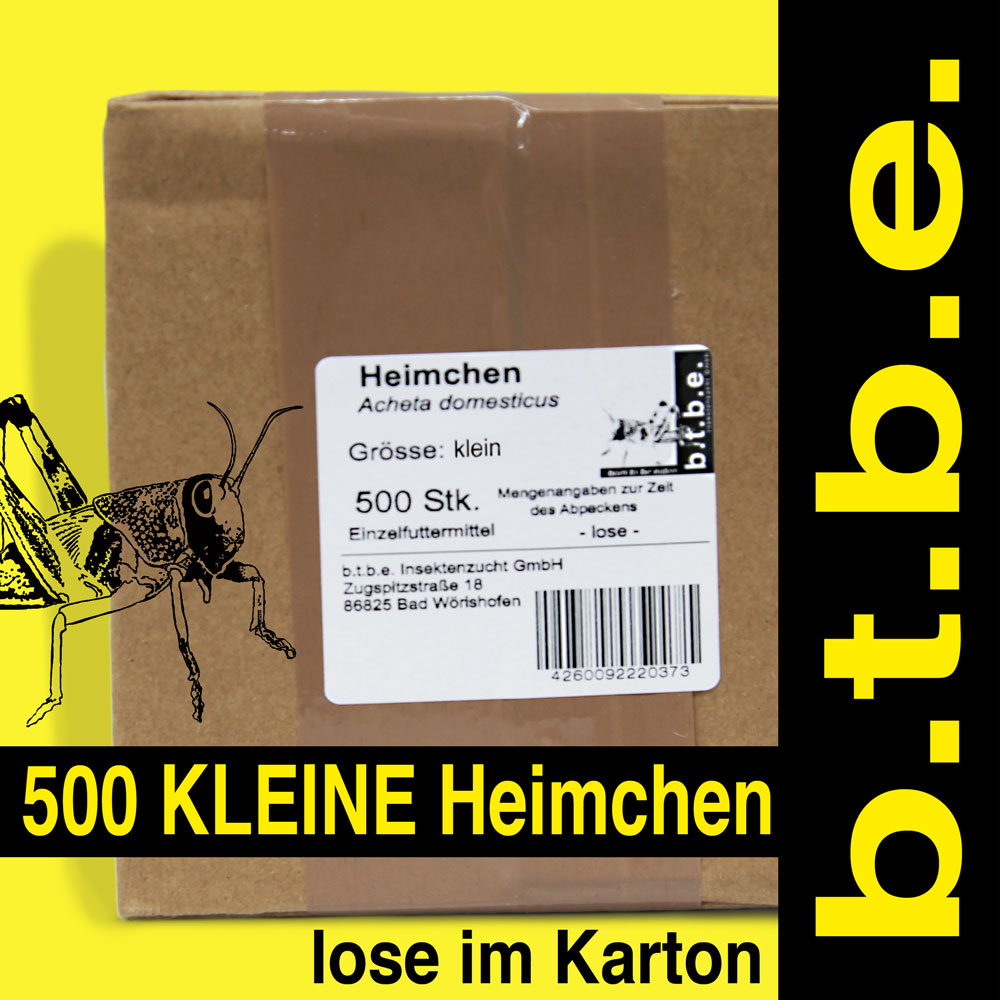 Heimchen klein