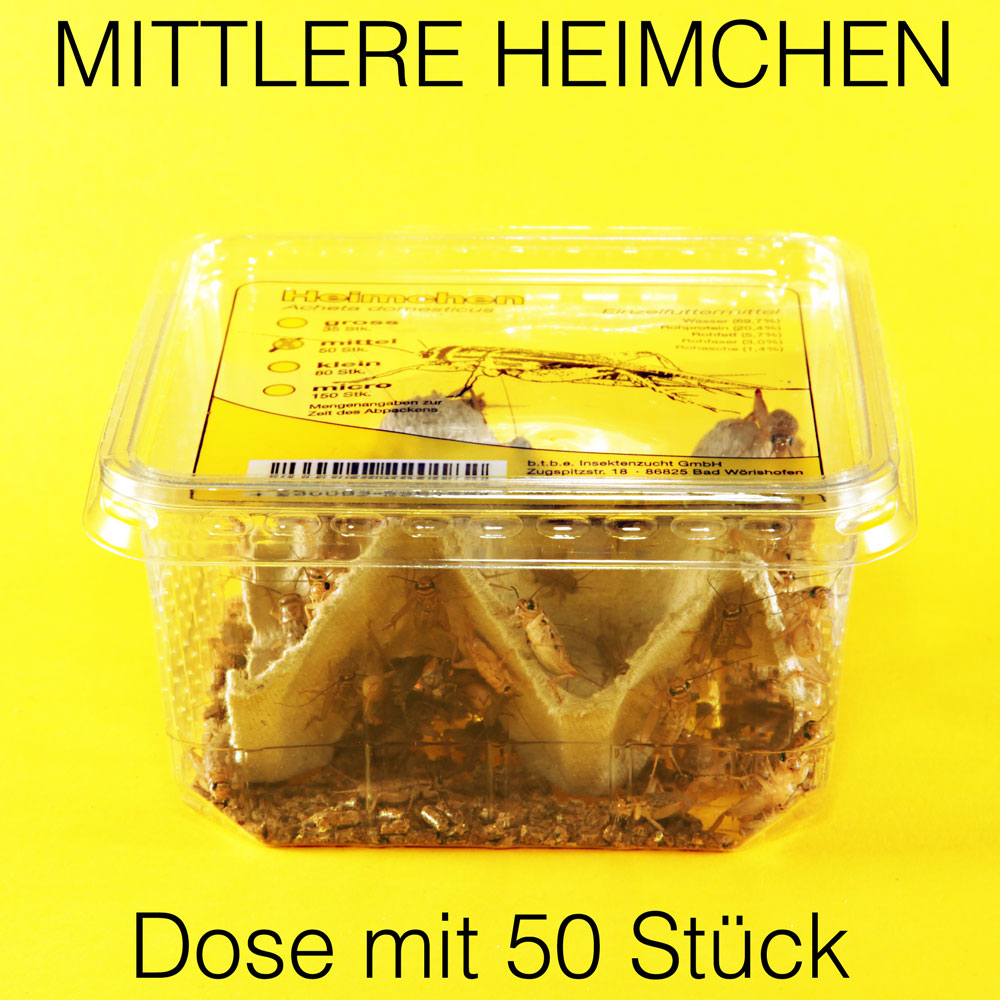 Heimchen mittel