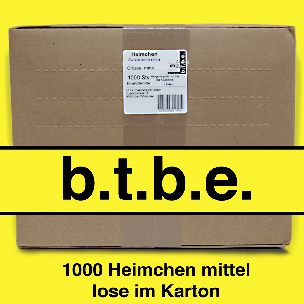 Heimchen mittel