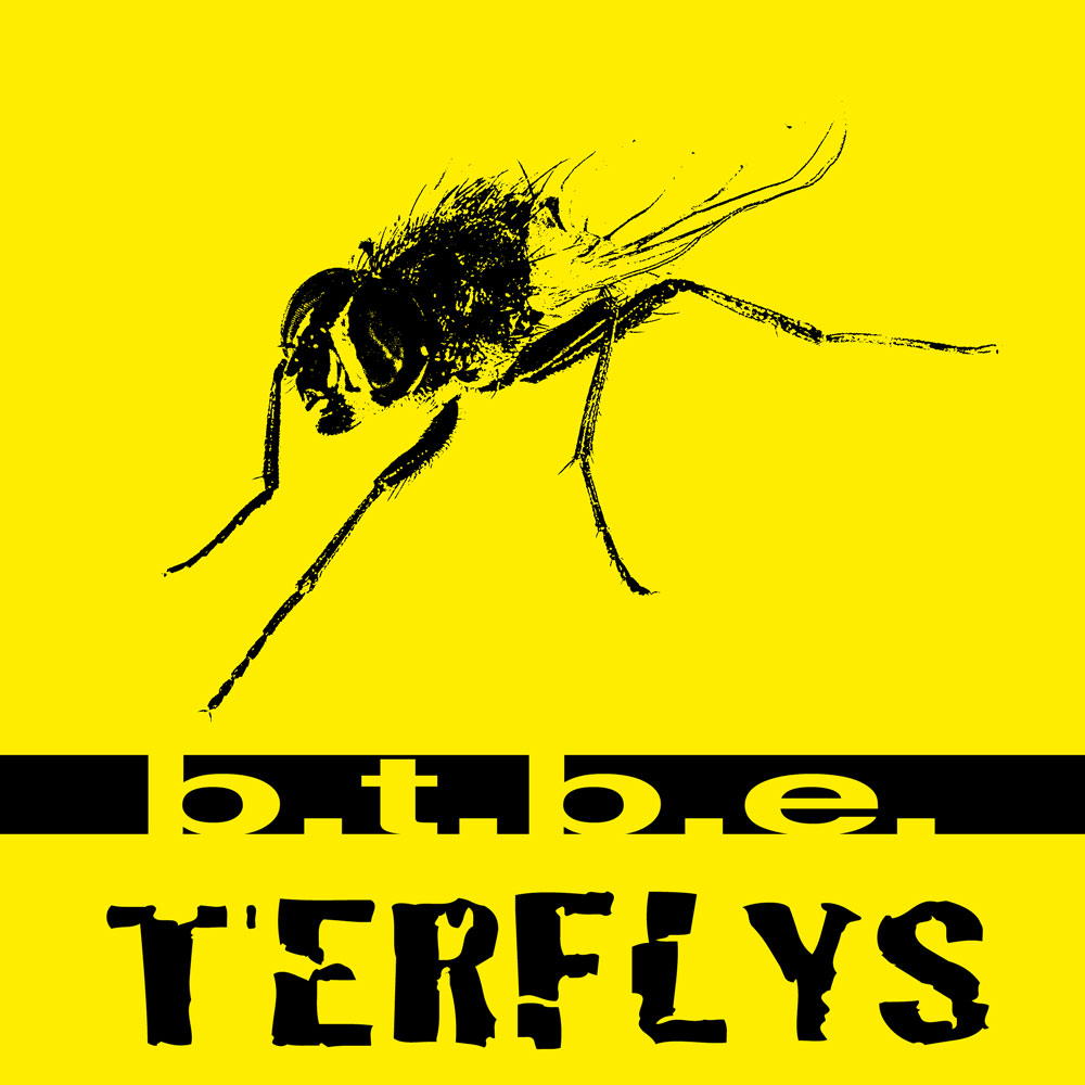 Terflys